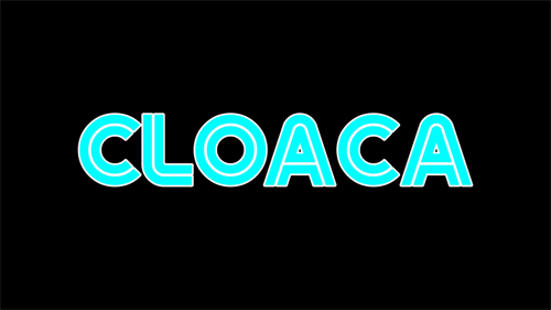 Cloaca inmunda