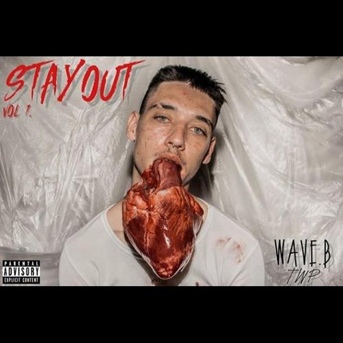 Stay Out Vol. 1