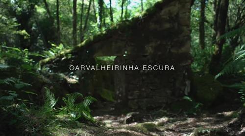 Carvalheirinha escura