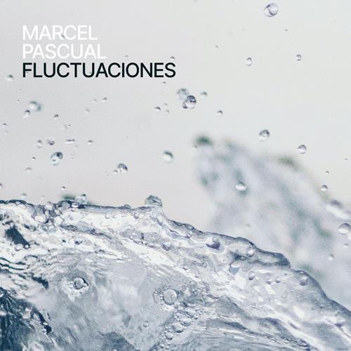 Fluctuaciones