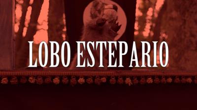 Lobo estepario