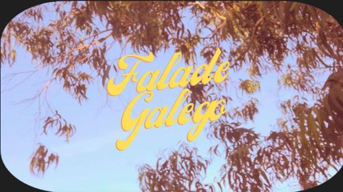 Falade Galego