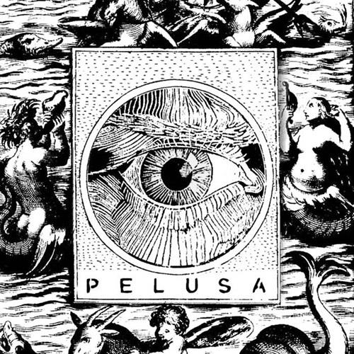 Pelusa