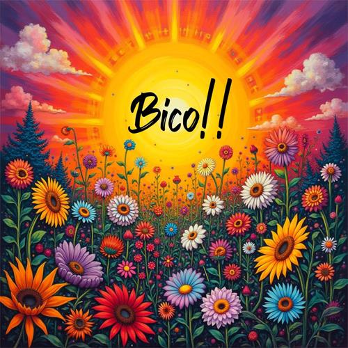 Bico!!