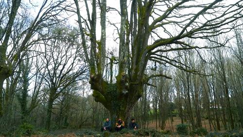 Deep Roots
