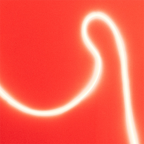 The Pond: Audio Files