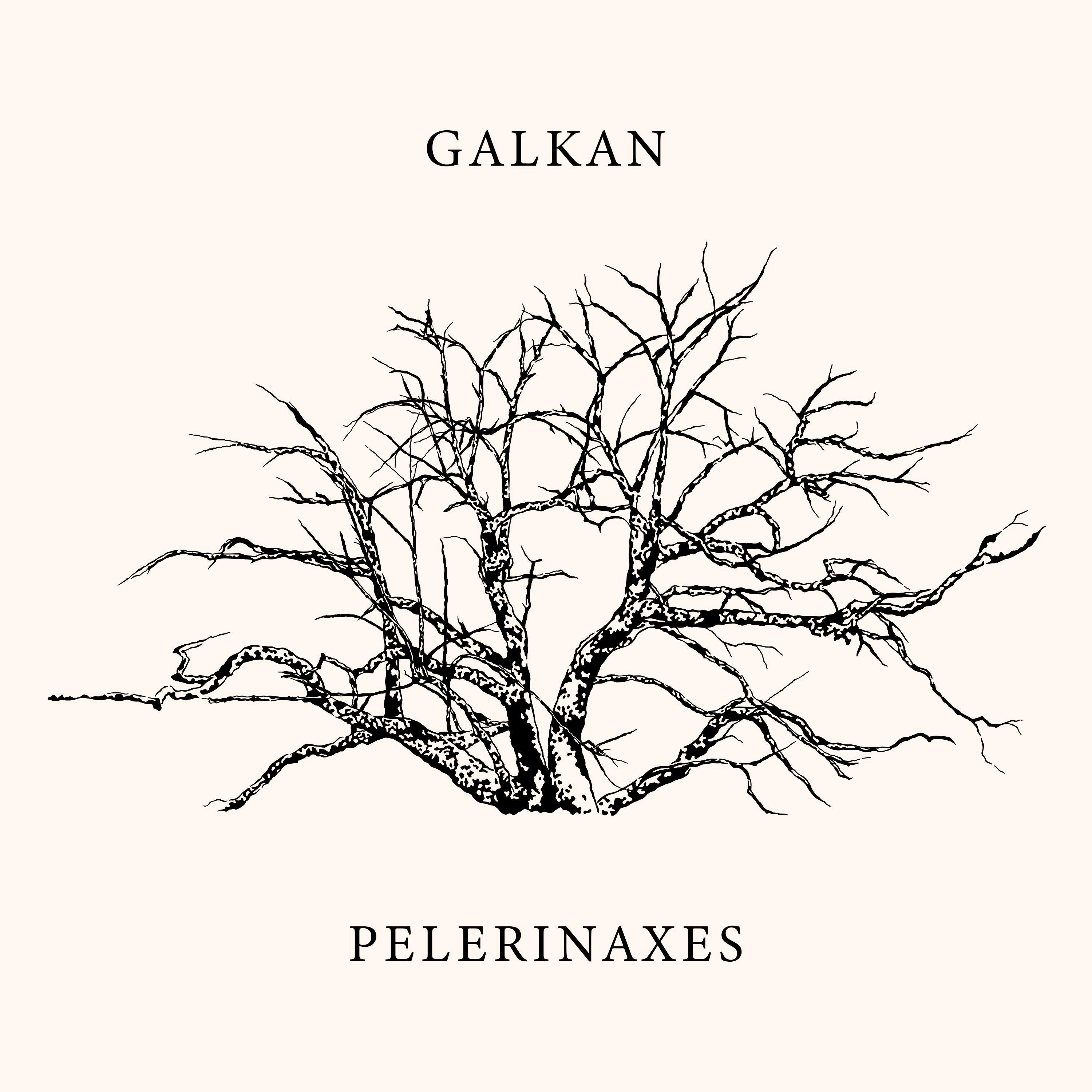 Pelerinaxes