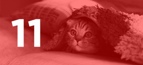 11 DE SOFÁ, PELI E MANTA